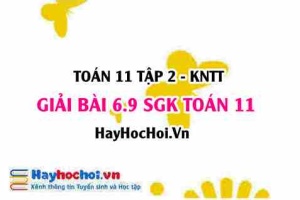 Bài 6.9 SGK Toán 11 Tập 2 Kết nối tri thức